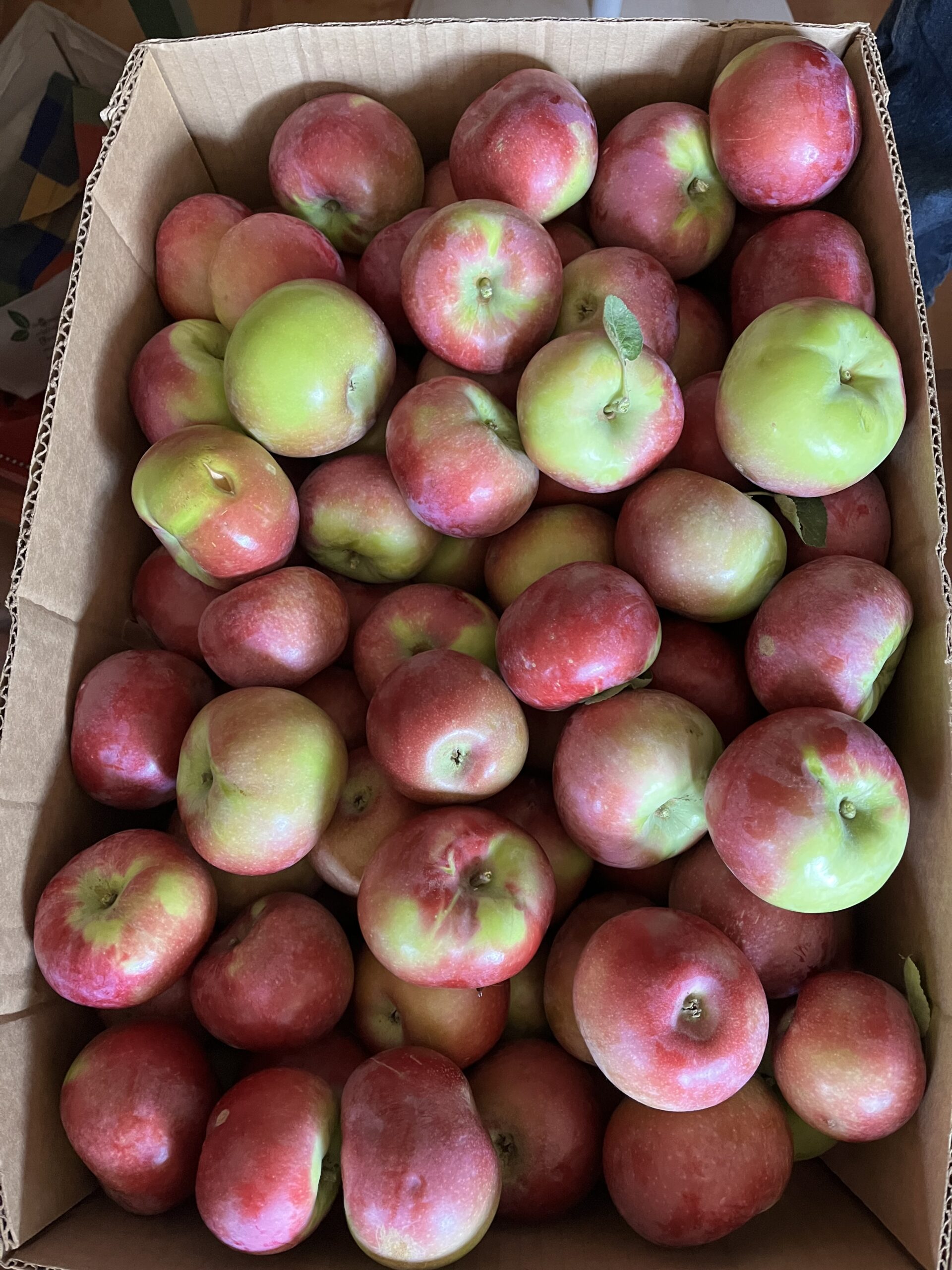 Organic Apples-HALF BUSHEL