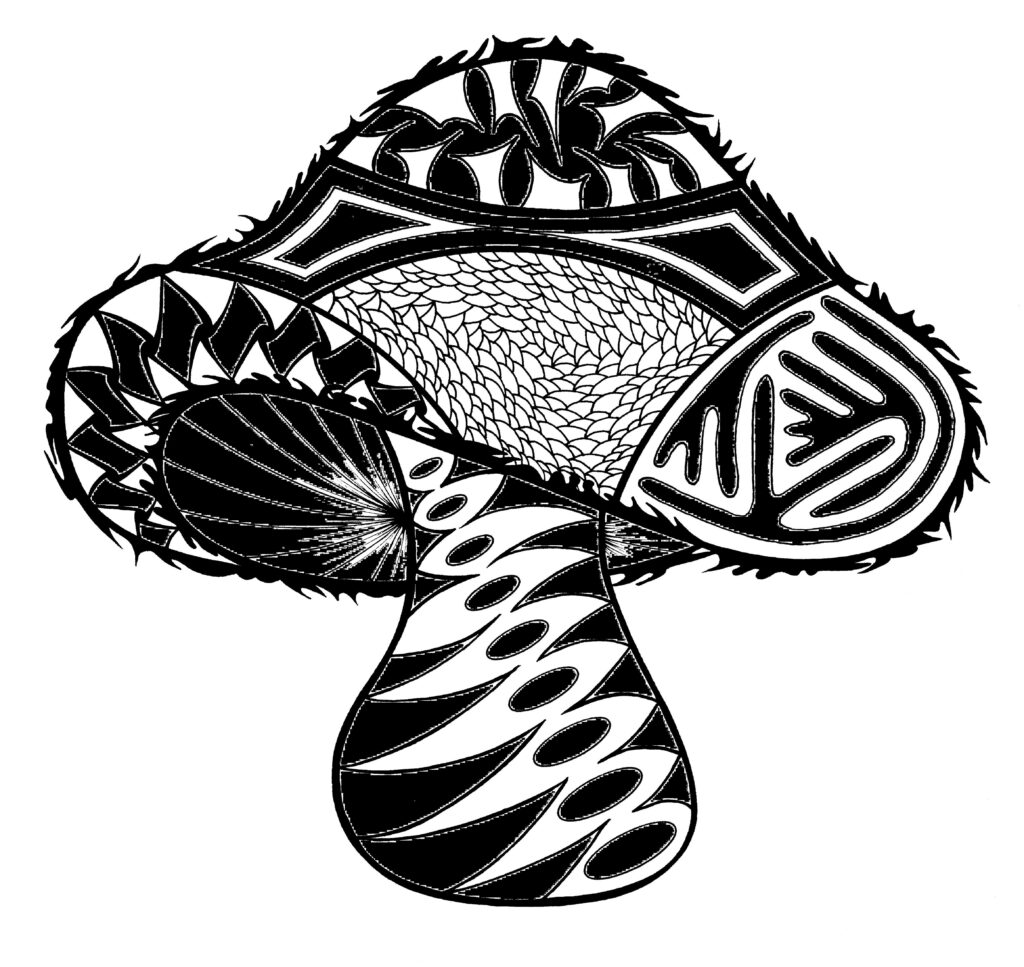 Mushroom 10 pack cards Pagosa Springs Farmers Market